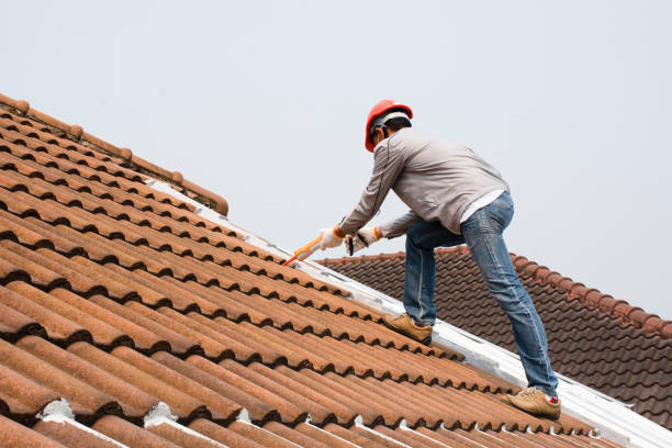 Best Green or Eco-Friendly Roofing Solutions  in Countryside, VA