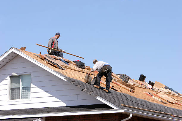 Best Roofing for New Construction  in Countryside, VA